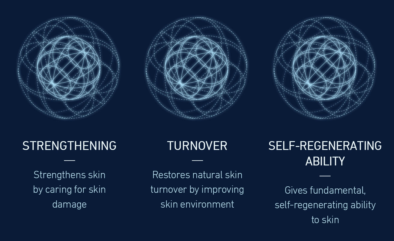 Exosome skin strengthening, turnover and self-regenerating ability